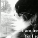 Illustration for article titled Henri the Existential Cat Has Become a Corporate Sellout for Friskies